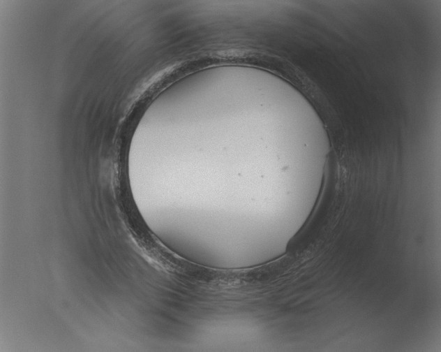 X0000076090728200610202105