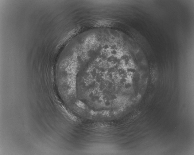 X0000076090729200610202105