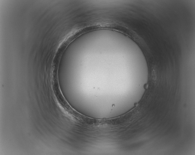 X0000076090730200610202105