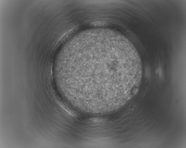 X0000076090733200610202105