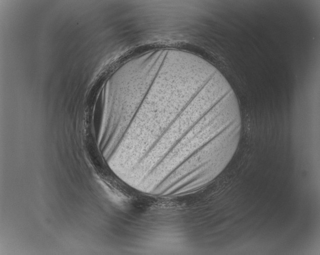 X0000076090736200610202105