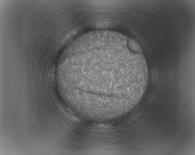 X0000076090737200610202105