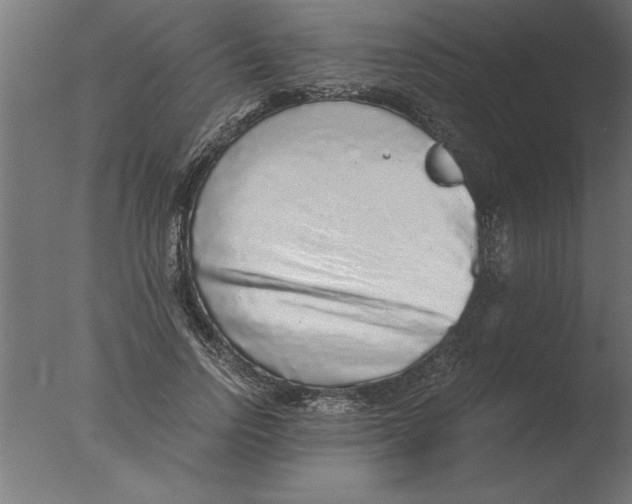 X0000076090742200610202106