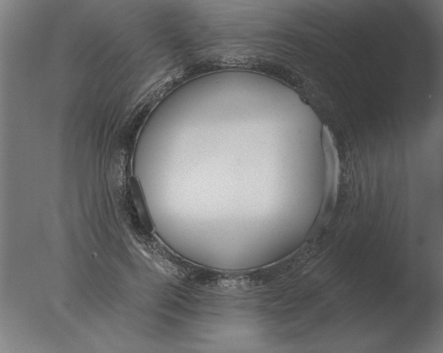 X0000076090744200610202106