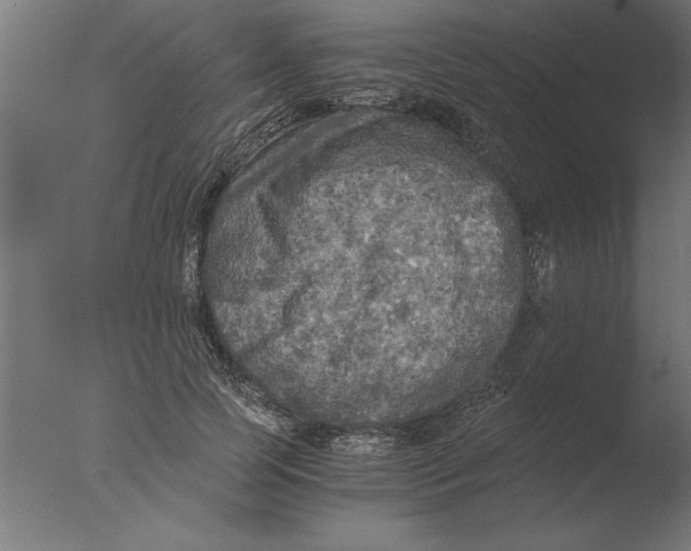 X0000076090745200610202106