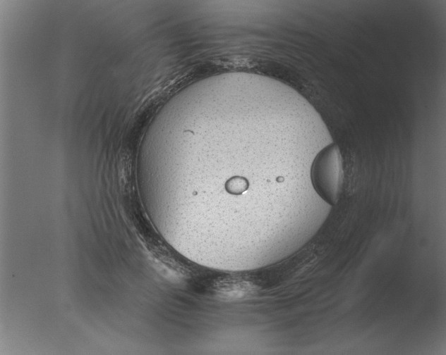 X0000076090747200610202106