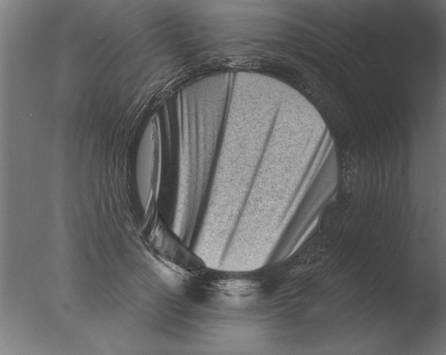 X0000076090748200610202106