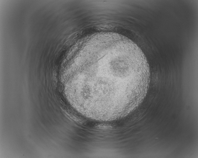 X0000076090749200610202106