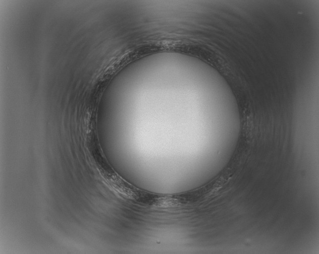 X0000076090750200610202106