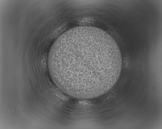 X0000076090753200610202106