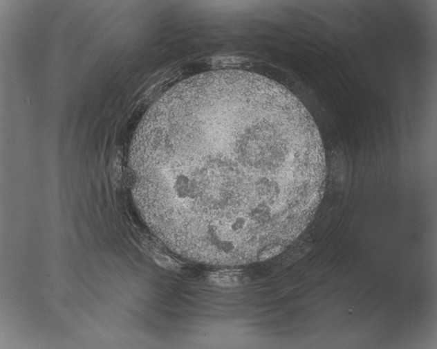 X0000076090761200610202106