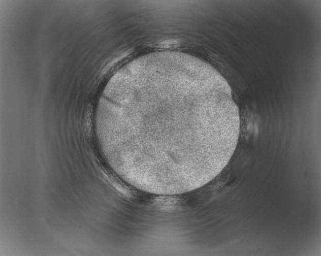 X0000076090762200610202106