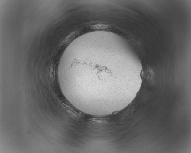 X0000076090763200610202106