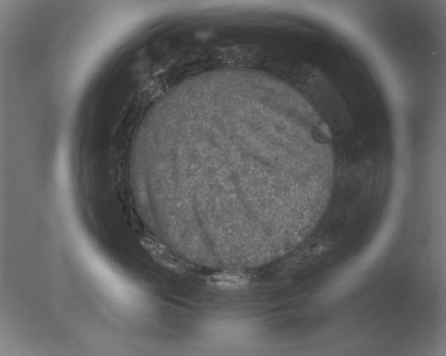 X0000076090765200610202106