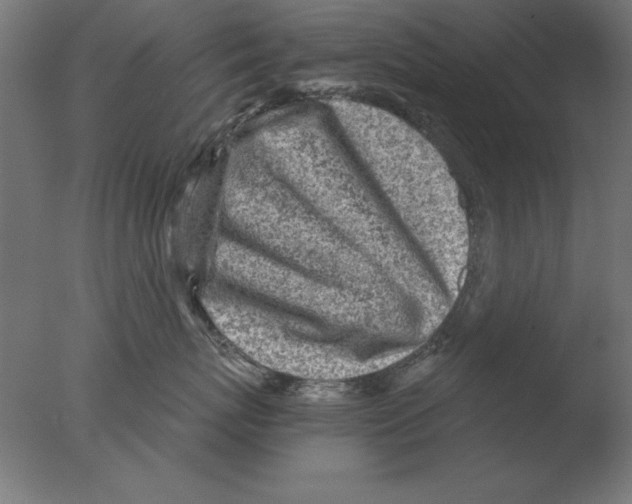 X0000076090767200610202106