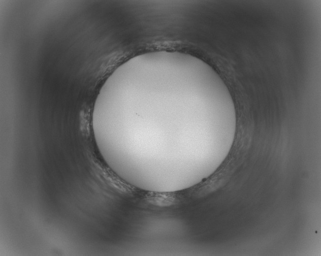 X0000076090768200610202106