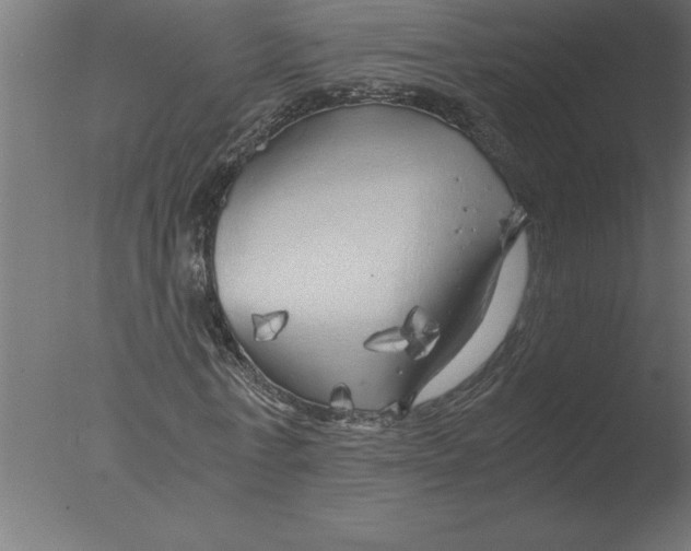 X0000076090771200610202105