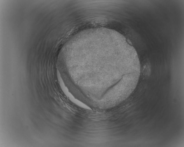 X0000076090772200610202105