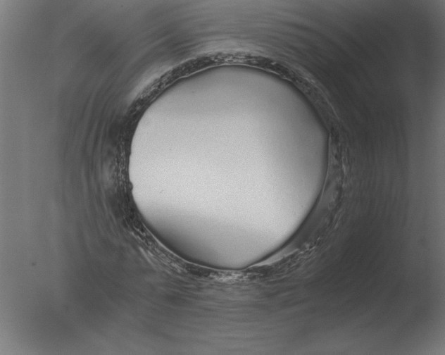 X0000076090775200610202105