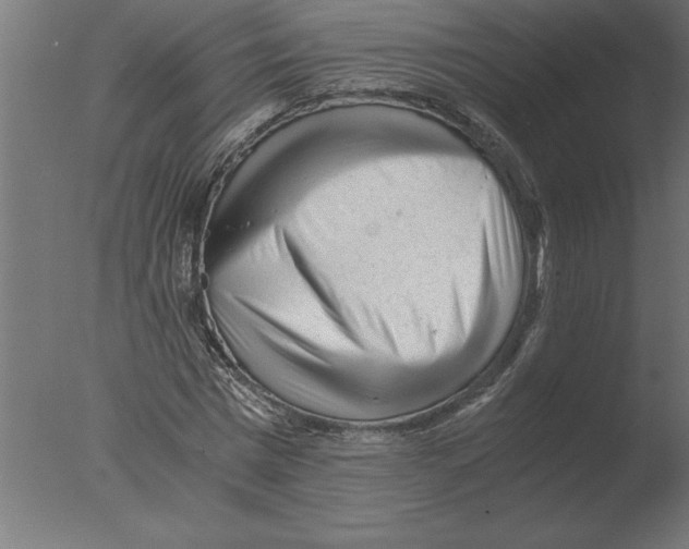 X0000076090777200610202105