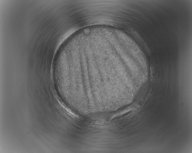 X0000076090780200610202105