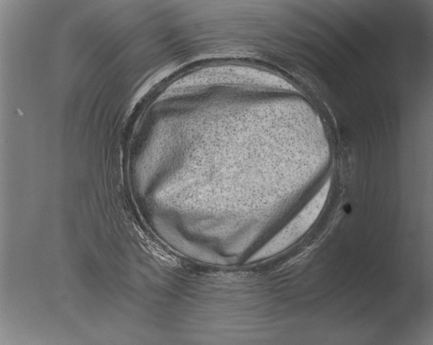 X0000076090781200610202105