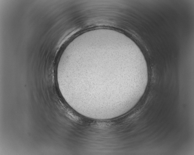 X0000076090782200610202105