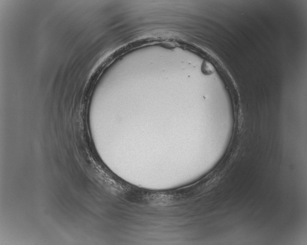 X0000076090783200610202105