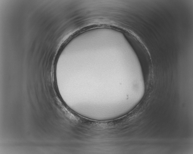 X0000076090791200610202105