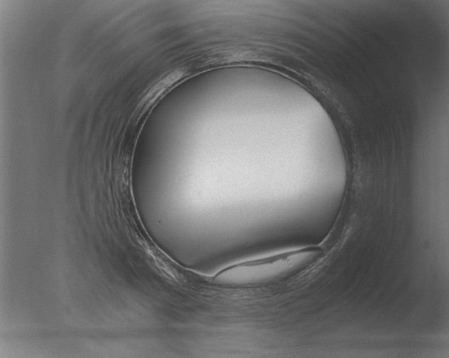 X0000076090793200610202105