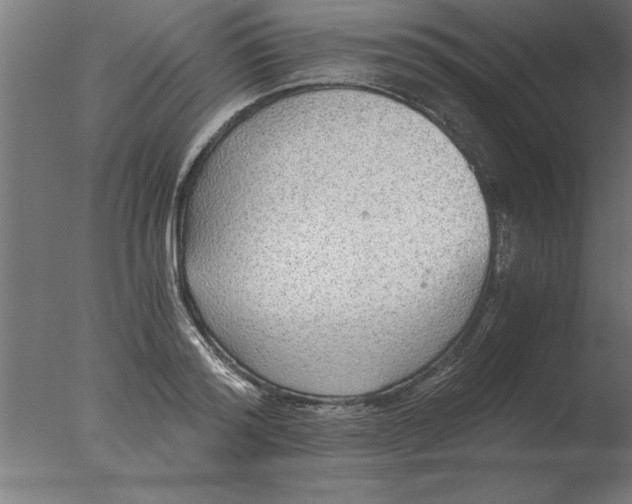 X0000076090796200610202105