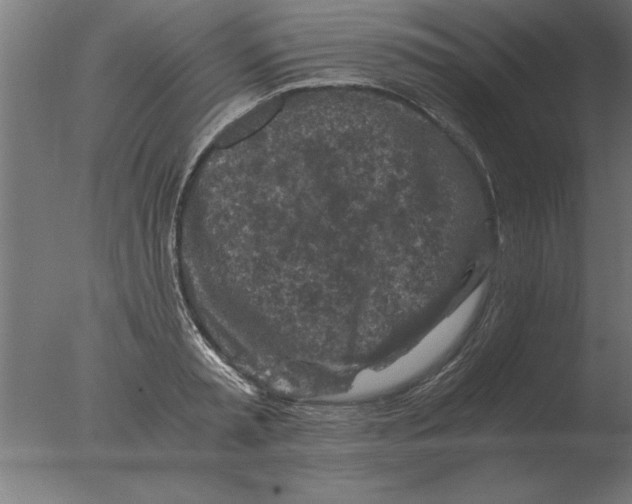 X0000076090797200610202105