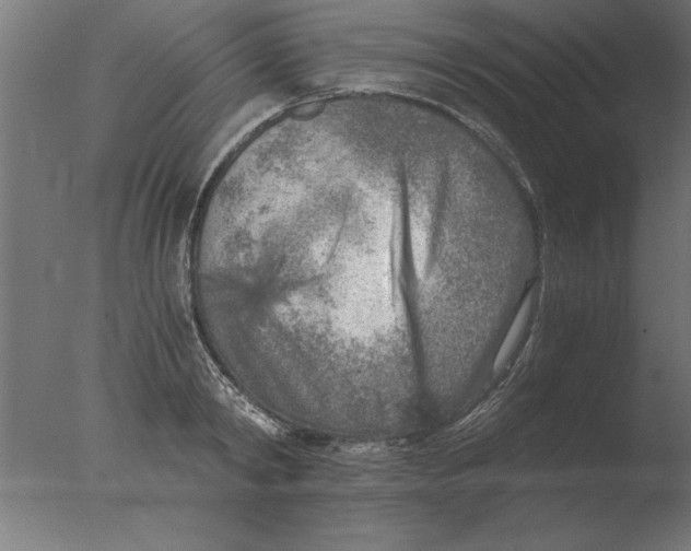 X0000076090798200610202105