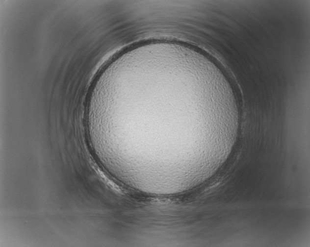 X0000076090799200610202105