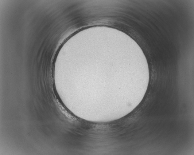 X0000076090800200610202105