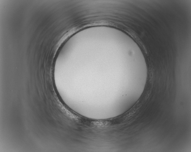 X0000076090805200610202105