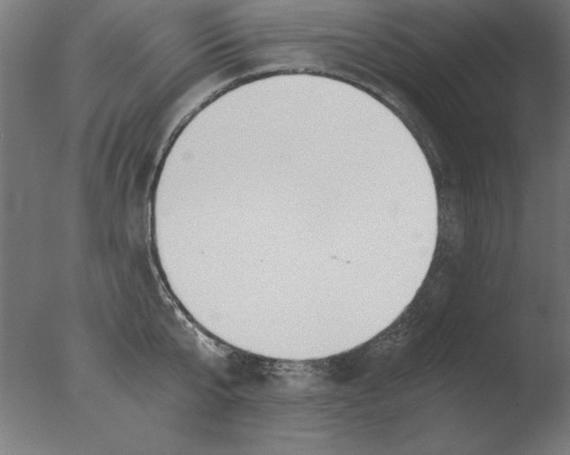 X0000076090807200610202105