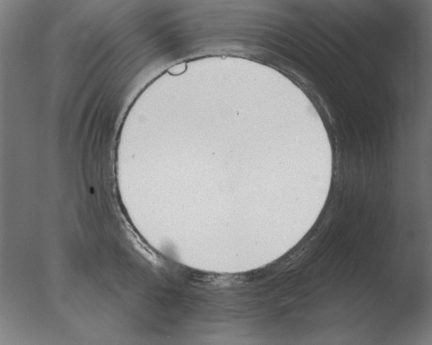 X0000076090808200610202105