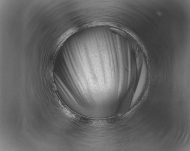 X0000076090809200610202104