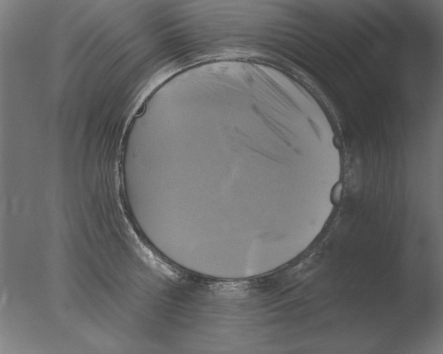 X0000076090810200610202104