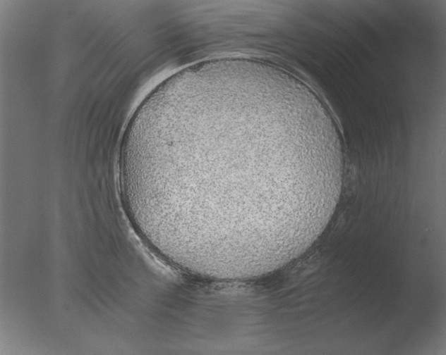 X0000076090811200610202104