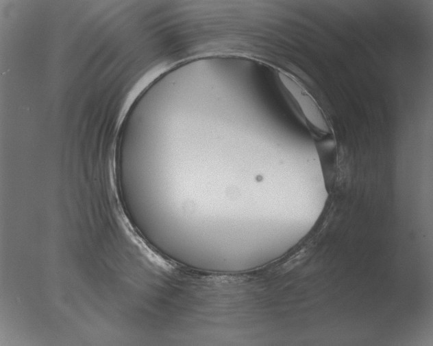 X0000076090812200610202104