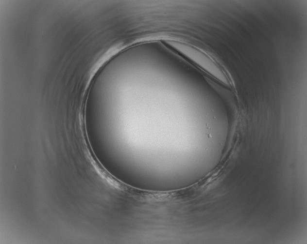 X0000076090813200610202104