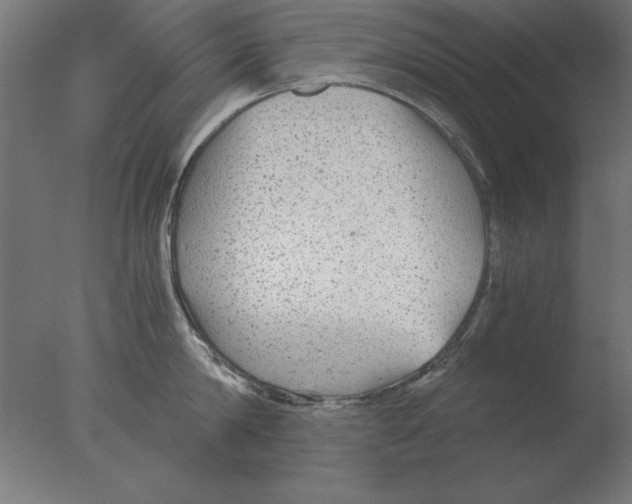 X0000076090814200610202104