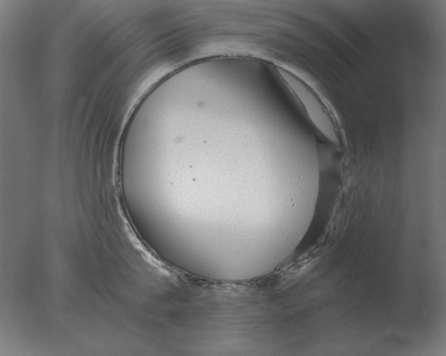 X0000076090815200610202104