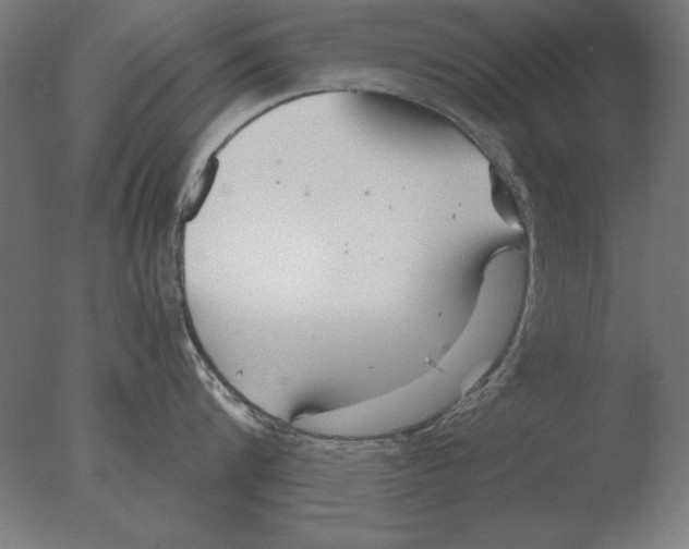 X0000076090816200610202104