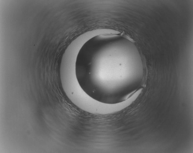 X0000076090818200610202104