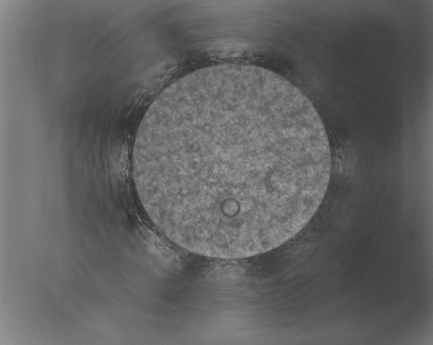 X0000076090820200610202104