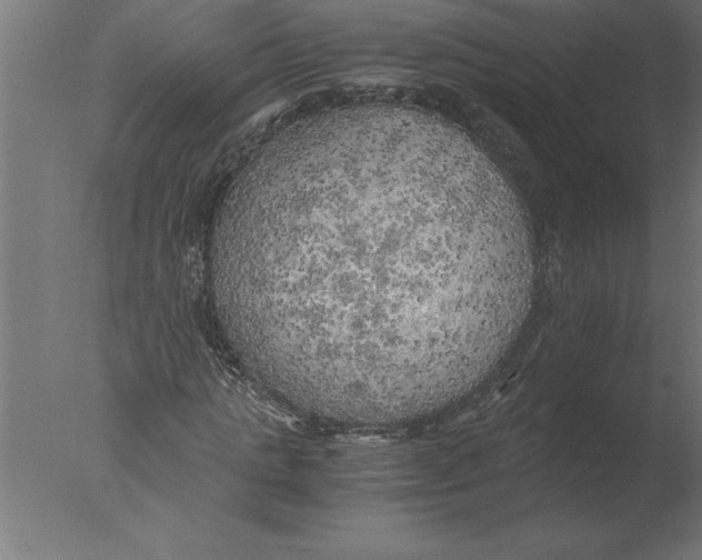 X0000076090821200610202104