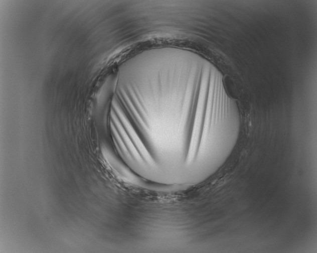 X0000076090822200610202104